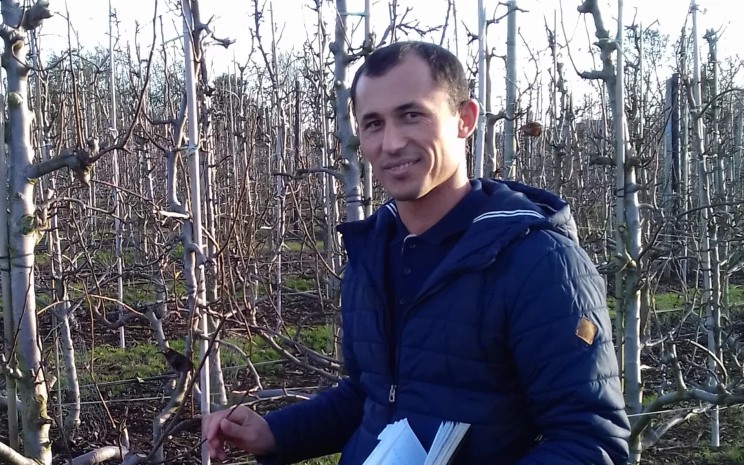 Reducing poverty – and increasing vegetarianism – in Tajikistan