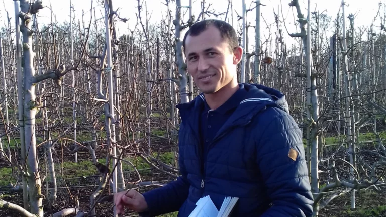 Reducing poverty – and increasing vegetarianism – in Tajikistan