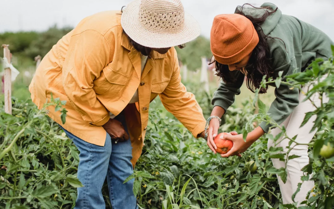 As the challenge of climate change intensifies our Fellows seek solutions