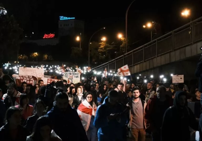 Georgian Fellows stand with protestors